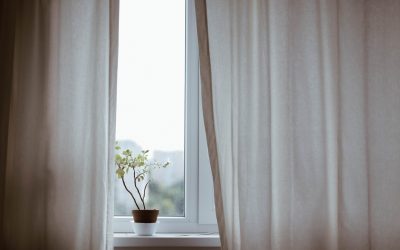 Ventanas opacas 2025